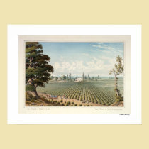 El Pinal Vineyard, San Joaquin County Poster posters