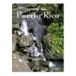 El Yunque, Puerto Rico Postcard