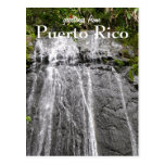 El Yunque, Puerto Rico Postcard