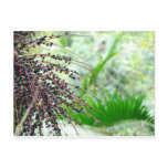 El Yunque Rain Forest Postcards