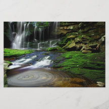 Elakala Waterfalls Swirling Pool Mossy Rocks Flyer