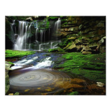 Elakala Waterfalls Swirling Pool Mossy Rocks Photo Print