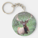 Élans de montagne rocheuse porte-clef