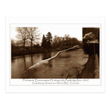 Elasmosaurus Gifts Post Card