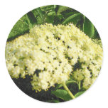 Elderberry Blooms Stickers