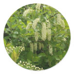 Elderberry Heaven Stickers