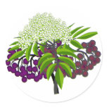 Elderberry Round Stickers