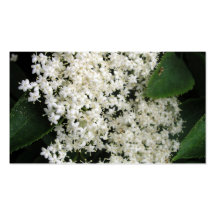 Elderflower Business Cards