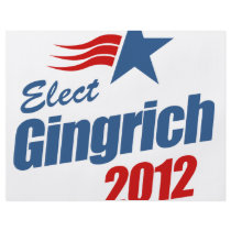 Elect Gingrich 2012 Personalized Flyer