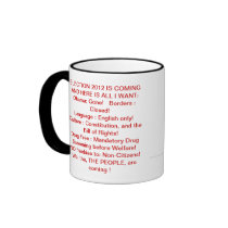 ELECTION 2012 HERE IS WHAT I WANT MUGS