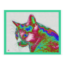 Electric Cat Post Card