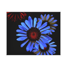 Electric Daisies at Midnight by Verde Canvas Prints