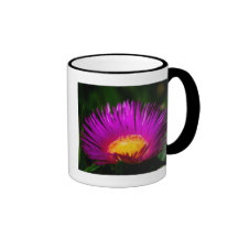 Electric Pink Mugs