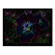 Electric Roses Post Card