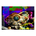 Electric Toad Cards