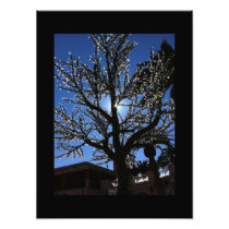 Electric Tree Photo Print