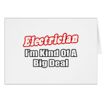 Electrician...Big Deal