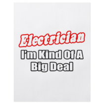 Electrician...Big Deal