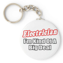 Electrician...Big Deal