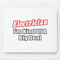 Electrician...Big Deal