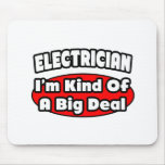 Electrician...Big Deal