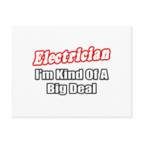 Electrician...Big Deal