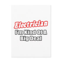 Electrician...Big Deal