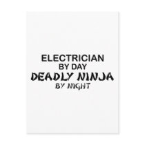 Electrician Deadly Ninja by Night