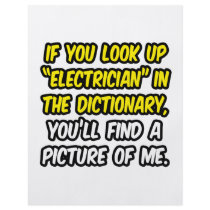 Electrician In Dictionary...My Picture