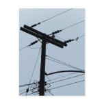 Electricity postcards
