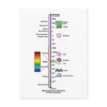 Electromagnetic Spectrum