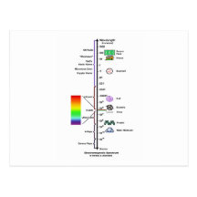 Electromagnetic Spectrum (Wavelengths Comparison) Postcards