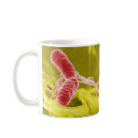 Electron Micrograph Showing Salmonella Typhimurium mugs