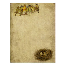 Elegant & Artistic Birds & Nest Post Cards
