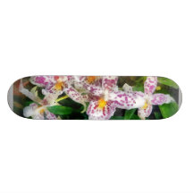 Elegant Beallara Orchid Custom Skateboard