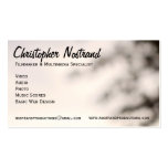 Elegant Business Card