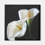 Elegant Calla Lily Flowers 13 Refrigerator Magnets
