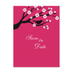 Elegant cherry blossom and bird save the date postcards