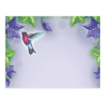 elegant colourful hummingbird and purple flowers post cards