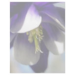 Elegant Columbine Flower Letterhead Design