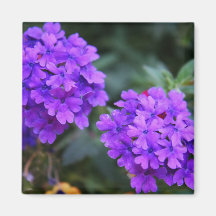 Elegant Floral Card (15) Magnet