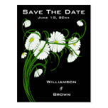 Elegant Gerbera Daisies Save The Date Postcards
