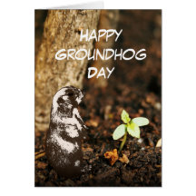 Elegant Groundhog Spring Greeting Card