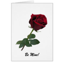 Elegant Long Stem Red Rose Greeting Card