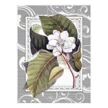 Elegant Magnolia Southern Belle Wedding Announcements