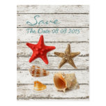 elegant ocean seashells beach save the date post card