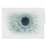 Elegant pale blue Daisy, Template Card