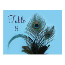 Elegant Peacock Table Number (turquoise) Postcard