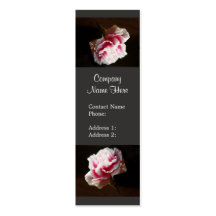 Elegant Pink Carnation Flower  Business Cards