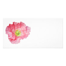 Elegant Pink Poppy Photo Card Template